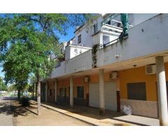 Local comercial en Urbanización El Pinar