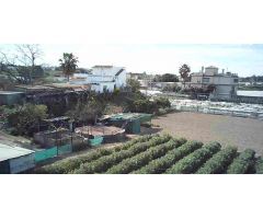 ESTUPENDA FINCA EN BONANZA