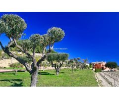 Finca rustica en Venta en Benissa, Alicante