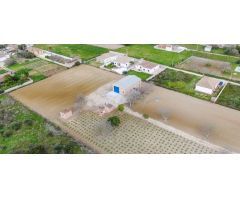 SE VENDE GRAN FINCA DE 10.000M, CON UNA NAVE CONSTRUIDA DE 150M