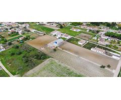 SE VENDE GRAN FINCA DE 10.000M, CON UNA NAVE CONSTRUIDA DE 150M