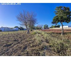 SE VENDE GRAN FINCA DE 10.000M, CON UNA NAVE CONSTRUIDA DE 150M