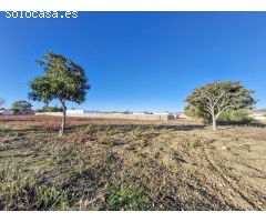 SE VENDE GRAN FINCA DE 10.000M, CON UNA NAVE CONSTRUIDA DE 150M