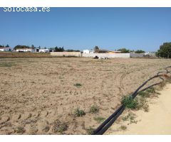 PARCELA INDIVISA DE  3.000M2 EN PAGO DE HUMO