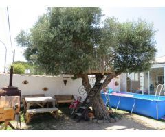CHALET INDIVISO EN LOS LLANOS