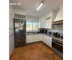 CHALET DOS PLANTAS RANA VERDE