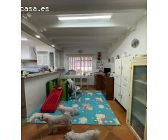 CHALET DOS PLANTAS RANA VERDE