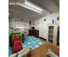 CHALET DOS PLANTAS RANA VERDE