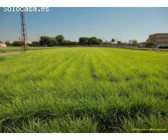 Terreno rural en Venta en Foios, Valencia