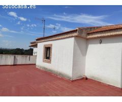 CHALET EN PLENA HUERTA DE MURCIA