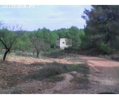 Finca rústica en venta 