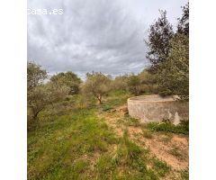 Terreno Rústico en Alforja