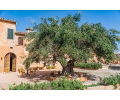 Maravillosa finca agroturismo