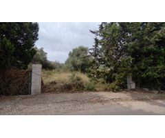 TERRENO RÚSTICO DE MÁS 12.000M2 CON LUZ, AGUA, LICENCIA Y PROYECTO PARA CONSTRUIR CASA.