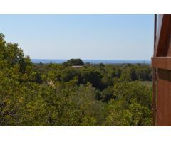 Finca rustica en Venta en L Ametlla de Mar, Tarragona