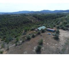 ¡Finca en venta, en suelo rustico, para desarrollo de Camping aprobado!