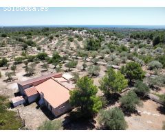 Bonita Finca Rústica con impresionante Masía de campo de 210 M2, vistas al mar
