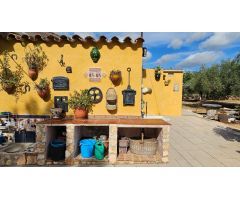 Finca Rústica de 14.000 M2, con casa de campo de 95 M2, a solo 3 km de la playa