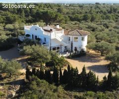 Magnífica propiedad de 4 hectáreas con 2 casas independientes, vista al mar y al delta del Ebro