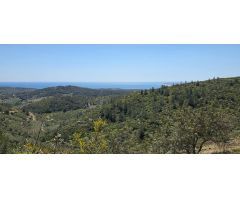 Oportunidad única: Finca rústica con vistas al mar y la montaña en El Perelló