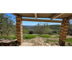 Oportunidad única: Finca rústica con vistas al mar y la montaña en El Perelló