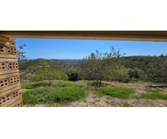 Oportunidad única: Finca rústica con vistas al mar y la montaña en El Perelló