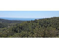Oportunidad única: Finca rústica con vistas al mar y la montaña en El Perelló