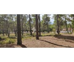 TERRENO URBANO EN UTIEL