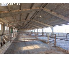 VENTA NAVE EN LA COMA (PICASSENT)