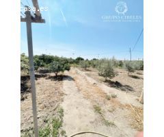 Se vende cortijo en Pechina