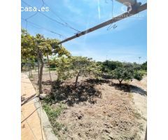 Se vende cortijo en Pechina