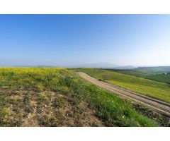TERRENO RUSTICO A 1,8 KM DE AUTOVÍA
