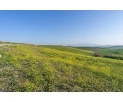 TERRENO RUSTICO A 1,8 KM DE AUTOVÍA