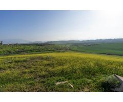 TERRENO RUSTICO A 1,8 KM DE AUTOVÍA