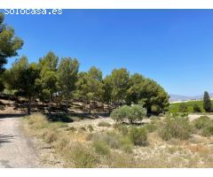 Chalet con 9.500m2 de parcela en molina de segura