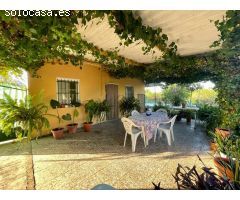 Oportunidad Finca rustica con 14.000m2 en Albatera limoneros en producción