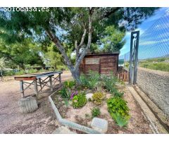 OPPORTUNITY CHALET IN HONDON DE LAS NIEVES  ALICANTE