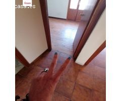 edificio en venta en Belorado