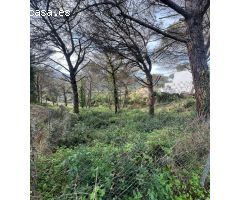 Terreno en Dosrius