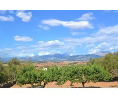 Increíble terreno de 3342 m2 de los cuales 1110 son urbanos con vistas a la Tramuntana.