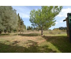 Casa de campo en venta en Muro.