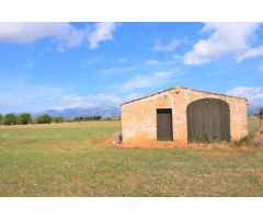Finca rústica con caseta de campo y  magnificas vistas a la Serra de Tramuntana en Llubi