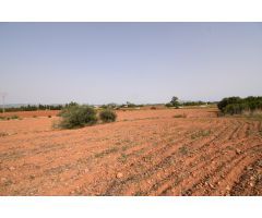 Gran finca con posibilidad de reformar vivienda.