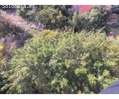 OPORTUNIDAD TERRENO EN CARRER CIM
