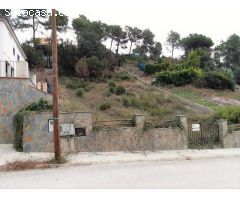 TERRENO LIMPIO Y VALLADO