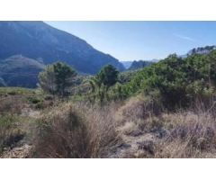 Magnífico terreno rústico en Callosa den Sarrià con pozo privado legalizado.