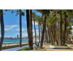 ¡Oportunidad única en en centro de Benidorm a pocos metros de la playa de Poniente!