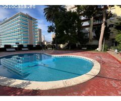 ???? ¡Tu hogar junto al mar te espera en Benidorm! ????