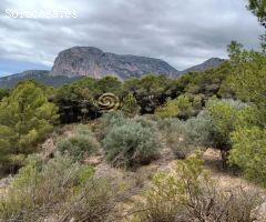 Parcela en Polop en venta