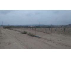 Terreno rústico en venta en pre. de la alabarda, polígono 33, Molina De Segura, Murcia
